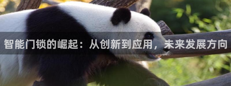 开丰娱乐登入地址在哪查：智能门锁的崛起：从创新到应用，未来发