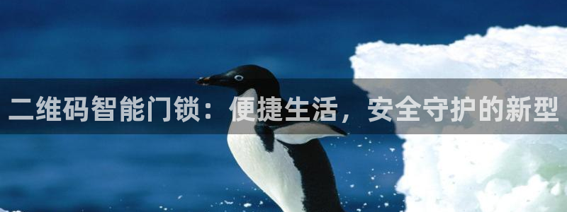 开丰娱乐若七九九：二维码智能门锁：便捷生活，安全守护的新型