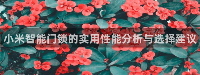 开丰娱乐千67五壹叁八：小米智能门锁的实用性能分析与选择建议