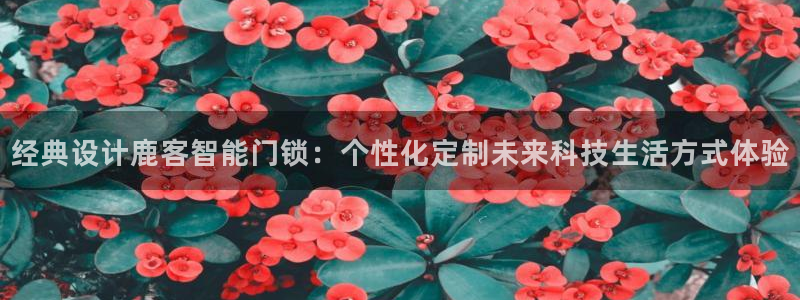 开丰娱乐地址：经典设计鹿客智能门锁：个性化定制未来科技生活方