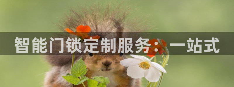 开丰娱乐右7O667：智能门锁定制服务：一站式