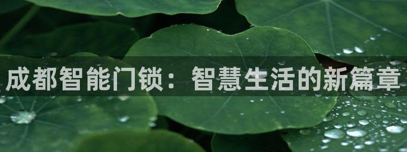 开丰娱乐67 5138：成都智能门锁：智慧生活的新篇章