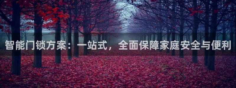 开丰娱乐月7O667：智能门锁方案：一站式，全面保障家庭安全