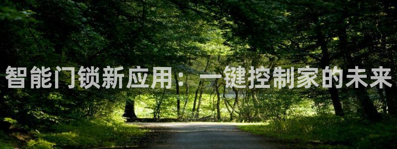开丰娱乐主管家去判官333OO：智能门锁新应用：一键控制家的