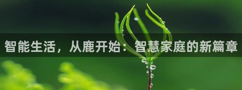 开丰娱乐平台登录：智能生活，从鹿开始：智慧家庭的新篇章