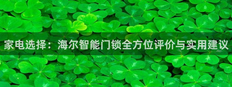 开丰娱乐：家电选择：海尔智能门锁全方位评价与实用建议