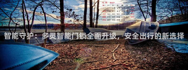 开丰娱乐体育平台：智能守护：多灵智能门锁全面升级，安全出行的