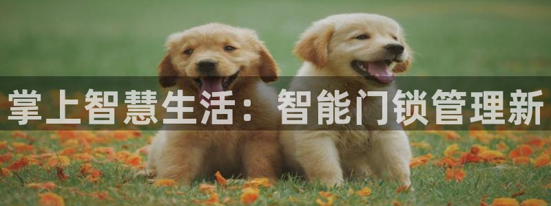 开丰娱乐科技：掌上智慧生活：智能门锁管理新