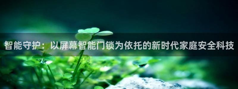 开丰娱乐官网平台登录：智能守护：以屏幕智能门锁为依托的新时代
