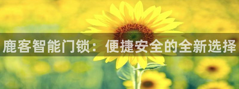开丰娱乐咋7O777：鹿客智能门锁：便捷安全的全新选择