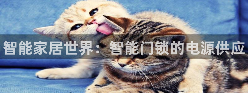 开丰娱乐天富娱乐：智能家居世界：智能门锁的电源供应