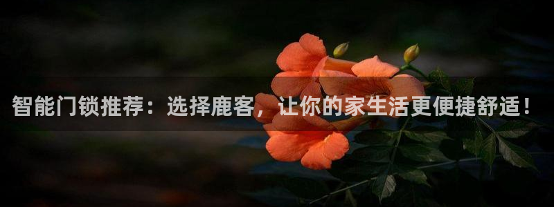 开丰娱乐官网平台电话：智能门锁推荐：选择鹿客，让你的家生活更