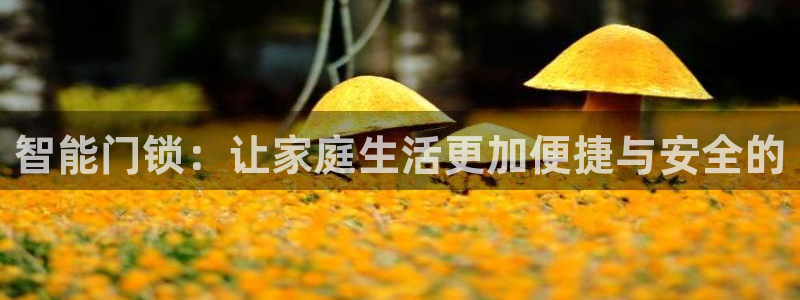 开丰娱乐姜333OO：智能门锁：让家庭生活更加便捷与安全的