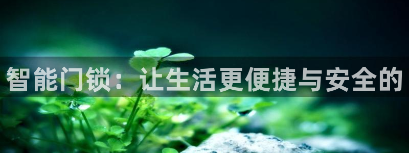 开丰娱乐新登录平台：智能门锁：让生活更便捷与安全的