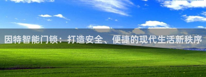 开丰娱乐月：因特智能门锁：打造安全、便捷的现代生活新秩序