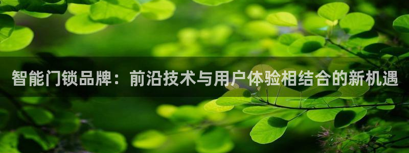 开丰娱乐平台地址：智能门锁品牌：前沿技术与用户体验相结合的新