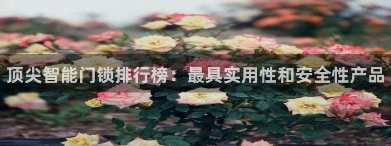 开丰娱乐平台注册时间：顶尖智能门锁排行榜：最具实用性和安全性