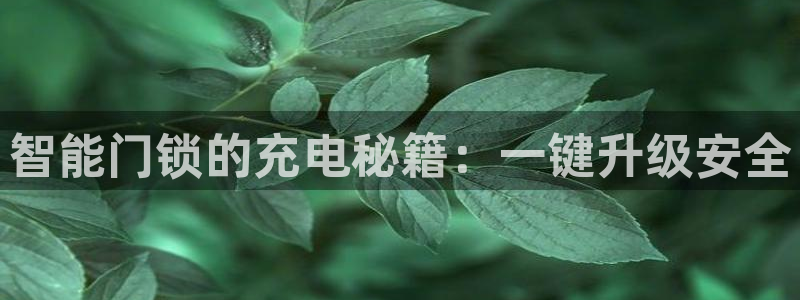 开丰娱乐寸六七五一38：智能门锁的充电秘籍：一键升级安全