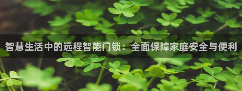 开丰娱乐注册登录不了：智慧生活中的远程智能门锁：全面保障家庭