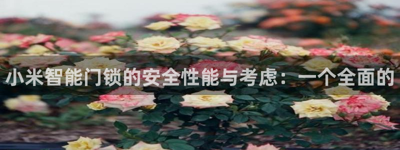开丰娱乐登录平台：小米智能门锁的安全性能与考虑：一个全面的