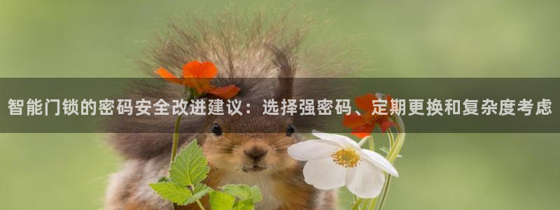开丰娱乐予 7O935：智能门锁的密码安全改进建议：选择强密