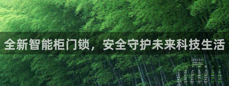 开丰娱乐登入地址在哪查：全新智能柜门锁，安全守护未来科技生活