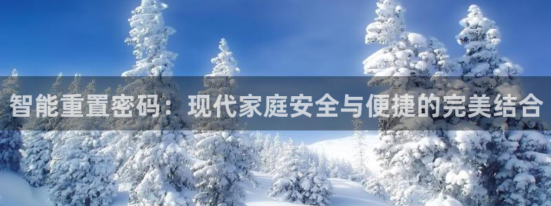 开丰娱乐寸67五壹叁八：智能重置密码：现代家庭安全与便捷的完