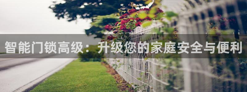 开丰娱乐违法吗：智能门锁高级：升级您的家庭安全与便利