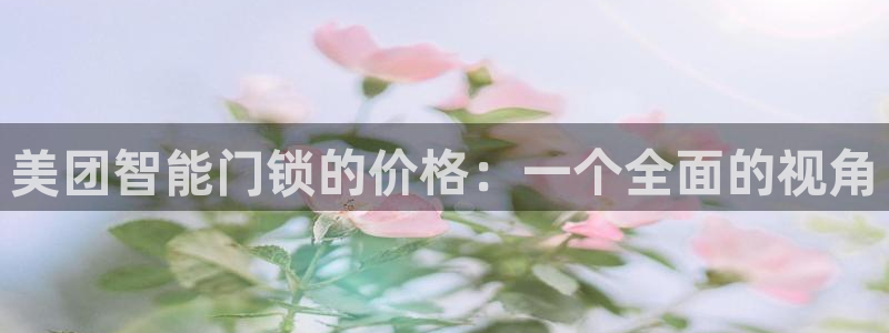 开丰娱乐登陆地址：美团智能门锁的价格：一个全面的视角