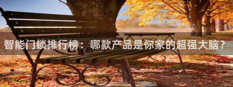 开丰娱乐注册资金多少：智能门锁排行榜：哪款产品是你家的超强大