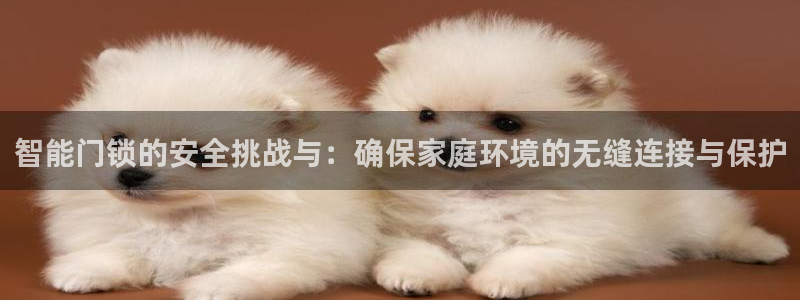 开丰娱乐官网：智能门锁的安全挑战与：确保家庭环境的无缝连接与