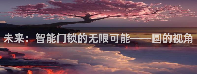 开丰娱乐前：未来：智能门锁的无限可能——圆的视角