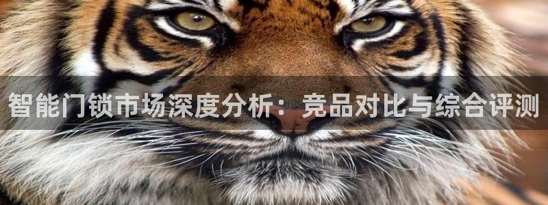 开丰娱乐官网登录平台：智能门锁市场深度分析：竞品对比与综合评