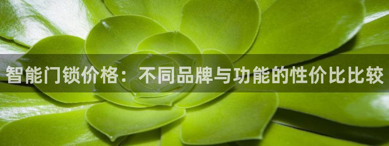 开丰娱乐姜333OO：智能门锁价格：不同品牌与功能的性价比比