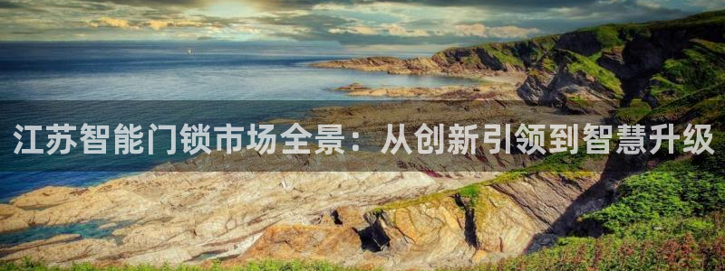 开丰娱乐平台地址电话：江苏智能门锁市场全景：从创新引领到智慧