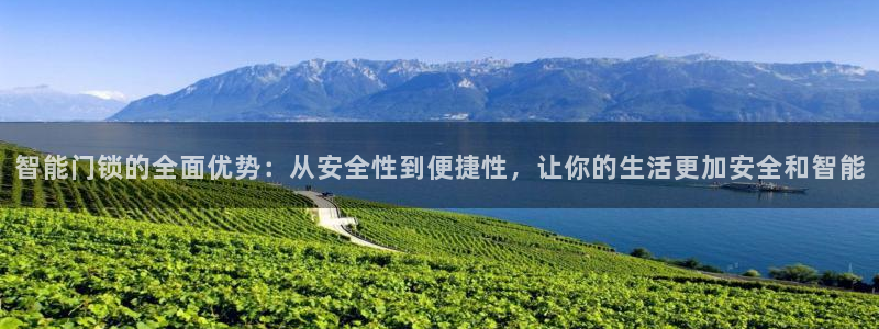 开丰娱乐登入地址查询：智能门锁的全面优势：从安全性到便捷性，