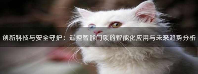 开丰娱乐不开了吗：创新科技与安全守护：遥控智能门锁的智能化应