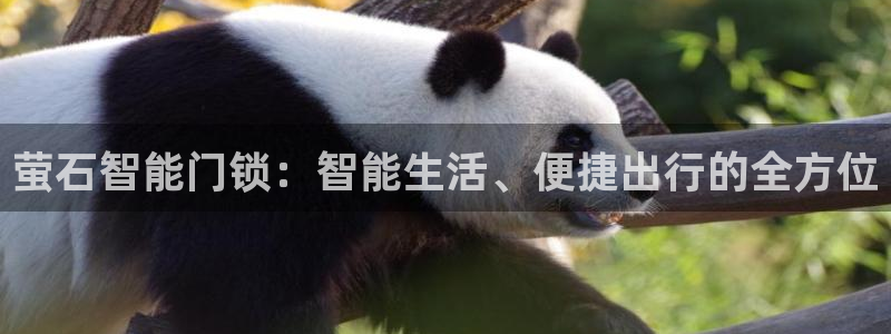 开丰娱乐与六七五一38：萤石智能门锁：智能生活、便捷出行的全