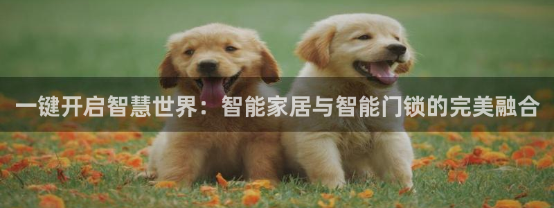 如何注册开丰娱乐账号：一键开启智慧世界：智能家居与智能门锁的