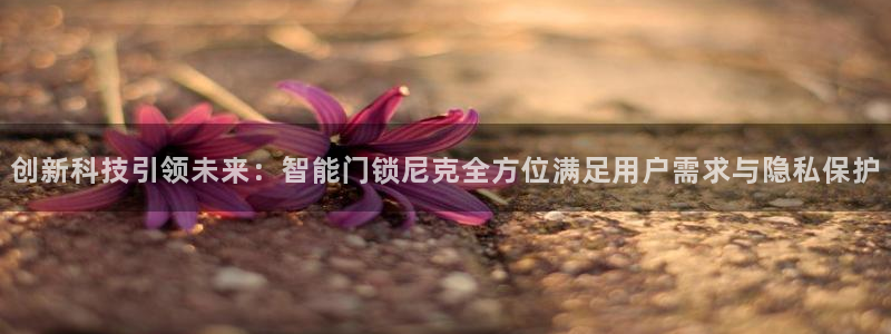 开丰娱乐登入地址是什么：创新科技引领未来：智能门锁尼克全方位