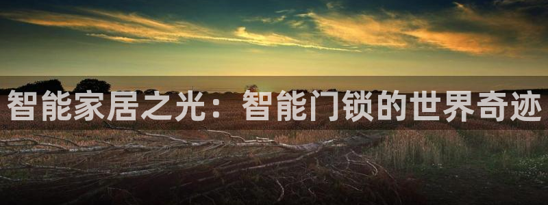 开丰娱乐网站官网入口：智能家居之光：智能门锁的世界奇迹