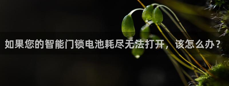 开丰娱乐趣 7O935：如果您的智能门锁电池耗尽无法打开，该