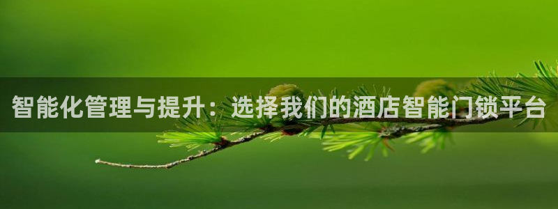 开丰娱乐万六七五一38：智能化管理与提升：选择我们的酒店智能