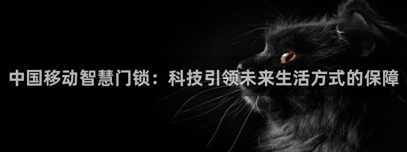 开丰娱乐网站官网：中国移动智慧门锁：科技引领未来生活方式的保