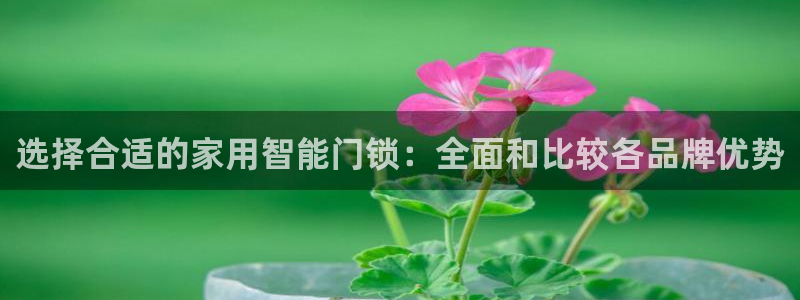 开丰娱乐平台注册地址：选择合适的家用智能门锁：全面和比较各品