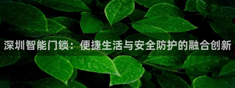 开丰娱乐平台官网登录：深圳智能门锁：便捷生活与安全防护的融合