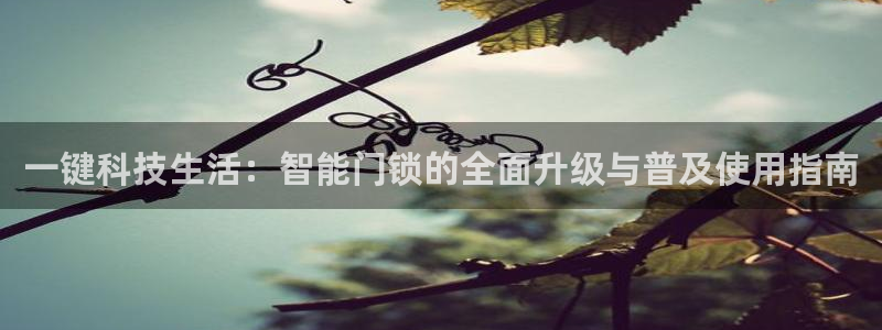 开丰娱乐 赢咖一：一键科技生活：智能门锁的全面升级与普及使用