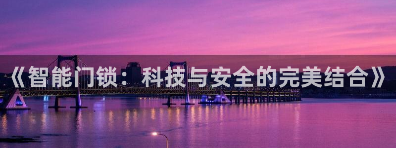 开丰娱乐 赢咖一：《智能门锁：科技与安全的完美结合》
