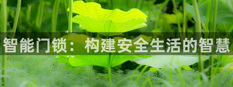 开丰娱乐上：智能门锁：构建安全生活的智慧