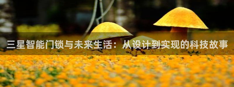 开丰娱乐主管：三星智能门锁与未来生活：从设计到实现的科技故事